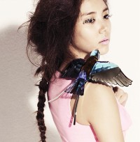 ��������ذ���һ���ٱ��� 