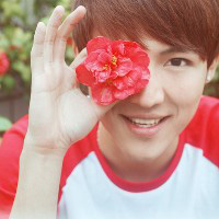 ��ʵ�����ܼ����·���������ͷ�񡢲���Ц������ŵ���氮����