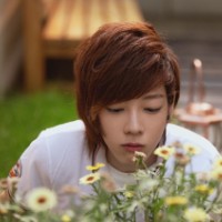 qq��������̬ͷ��_�ഺ���ţ��һ������Զ�á� 