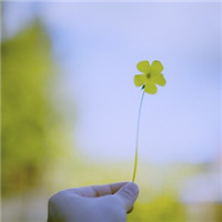 ������ - QQͷ�� 