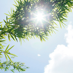 �������������Ҹ�,�������Ż��� 