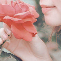 �S.���쿣�������QQͷ�� 