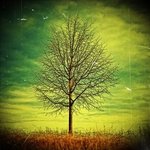 21��ŷ������qqͷ��ͼƬ