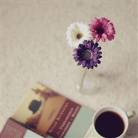 ���ڳ���ȴ������ڴ��� 