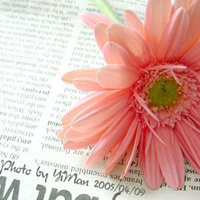 ������.�������΢Ц 