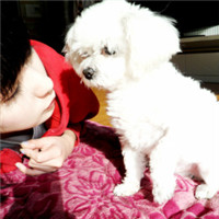 Ů������QQͷ��_���ҽ�����,ĬȻ�మ�ž���ϲ 