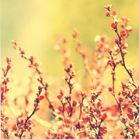 �ڴ����氮�����Ҹ��ľ��� 