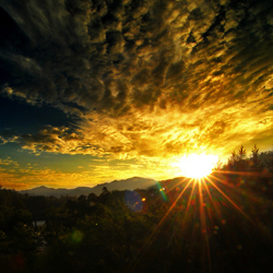 �������������Ҹ�,�������Ż��� 