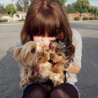 Ե���ں쳾��,��ȴͣ�����ĵ� 