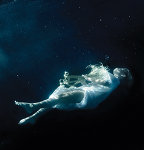 21��ŷ������qqͷ��ͼƬ