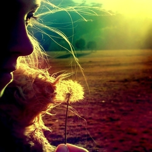 �ѹ�Ӣϵ�з�����ͼƬ