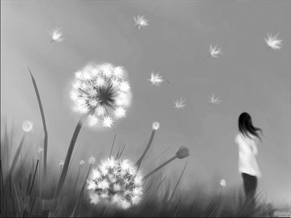 �ѹ�Ӣϵ�з�����ͼƬ