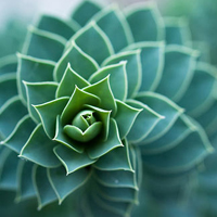 ���ڳ���ȴ������ڴ��� 