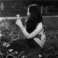 �ǻ����ǻ������� 