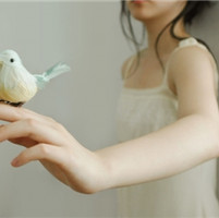 ���ǲ��ˡ���Щ����̫���̹� 