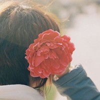 ����,������֪��,����ǽ� 