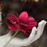 ���� - QQͷ�� 