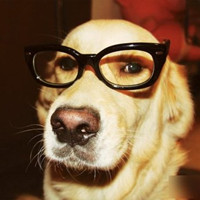 ���������� ���а�ο��QQͷ�� 