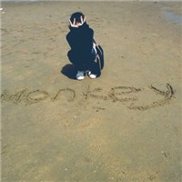 ������ã������ʱ�о�ѡQQ����ͷ�� 