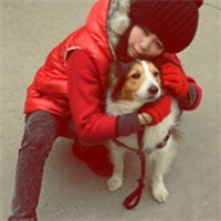 �����������,�����������ʺ� 