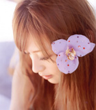 ��ת�������껪,�����Ѿ�ϡ�� 