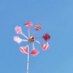 ��˼������Ϻ� ���Ƴ�������ͷ 