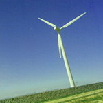 ��˼������Ϻ� ���Ƴ�������ͷ 