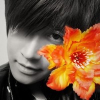 ���ɴ������������ 