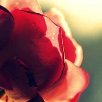 Ψ����qq��̬�羰ͷ��_���޻���