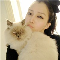 ��ε������������޵��ȶ� 