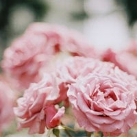 �ڴ����氮�����Ҹ��ľ��� 