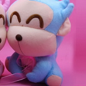 2012���¿�ͨ΢��ͷ��_hollekitty���౦�����л���è