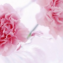 ��������QQͷ�� 