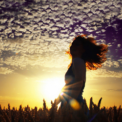 �������������Ҹ�,�������Ż��� 