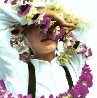 ������������ӵ��۵����� 