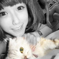 һ��Ҳ�á�������һ�ν�����ӵ�� 