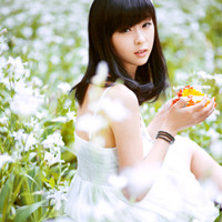 ���������QQ����ͷ����ȥ����Щ��������˭