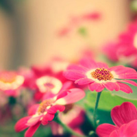 �촽������������ - QQͷ�� 