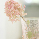 �������ľ�ͷ��һƬƽ�� - QQͷ�� 