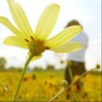 Ů����̬Ψ�������QQͷ��