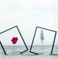 ���ڳ���ȴ������ڴ��� 