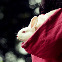 ���ڳ���ȴ������ڴ��� 