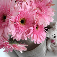 ������.�������΢Ц 