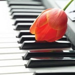 ��˼������Ϻ� ���Ƴ�������ͷ 