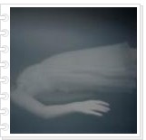 �ǰ�Ψһ�������Ĳл� 