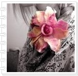 �ǰ�Ψһ�������Ĳл� 