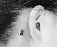 �Ǿ�����Ӻڰ���ҹ���п�ʼ 