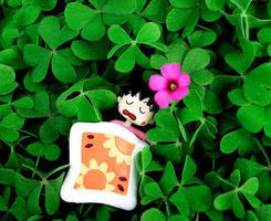 245��200����Ψ���⾳ͷ��ͼƬ