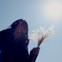 ɢ�����ഺ��,˭����Ц���뿪 