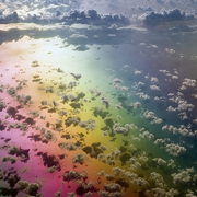 �����绨�������㻳������ - QQͷ�� 